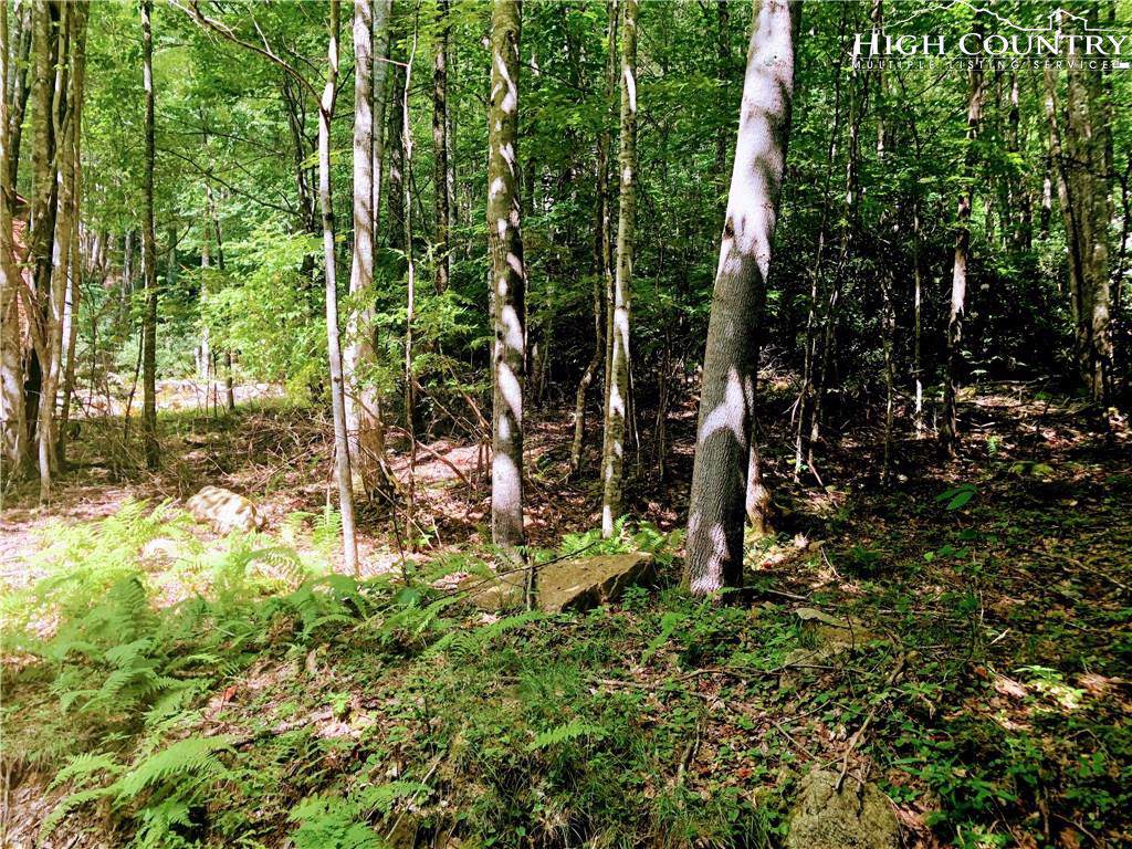 103 Sage Knoll - Photo 1