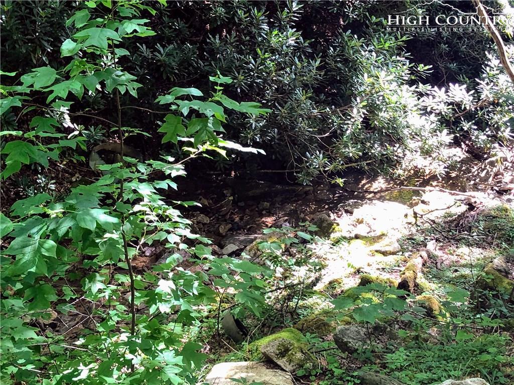 105 Sage Knoll - Photo 1