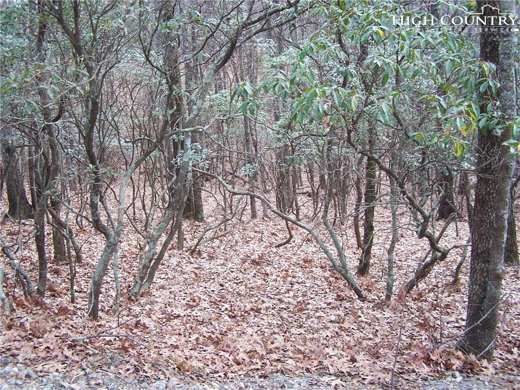 Tbd Hawk Ridge Road - Photo 1