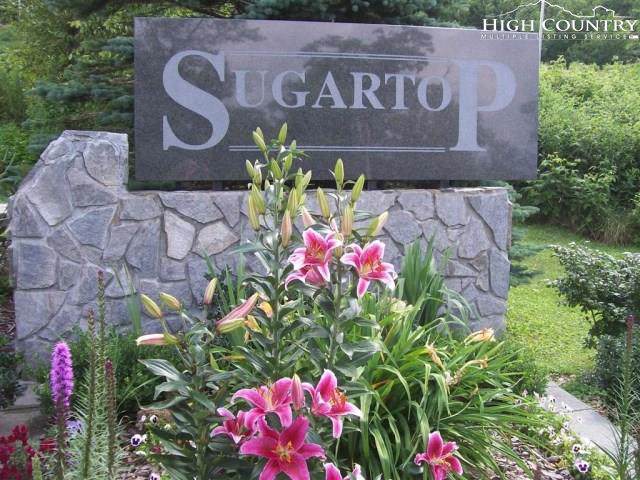 303 Sugar Top Drive - Photo 1