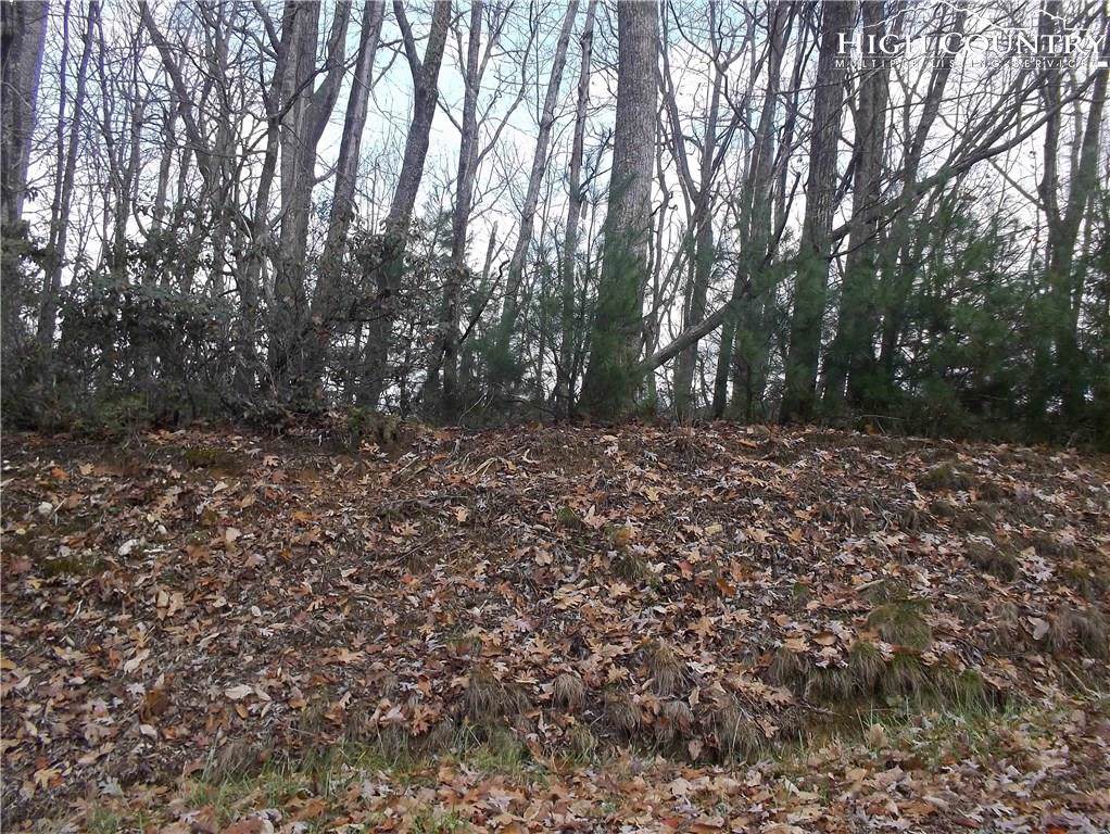 TBD Waterfall Road - Photo 1