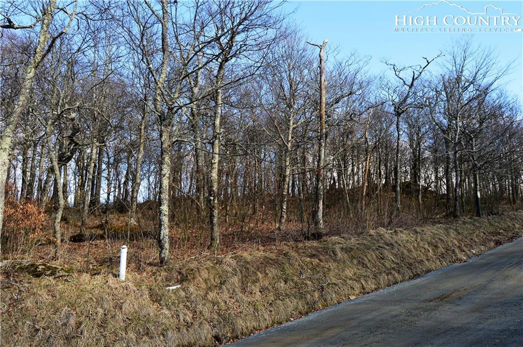 Lot 2 Pinnacle Ridge Road - Photo 1