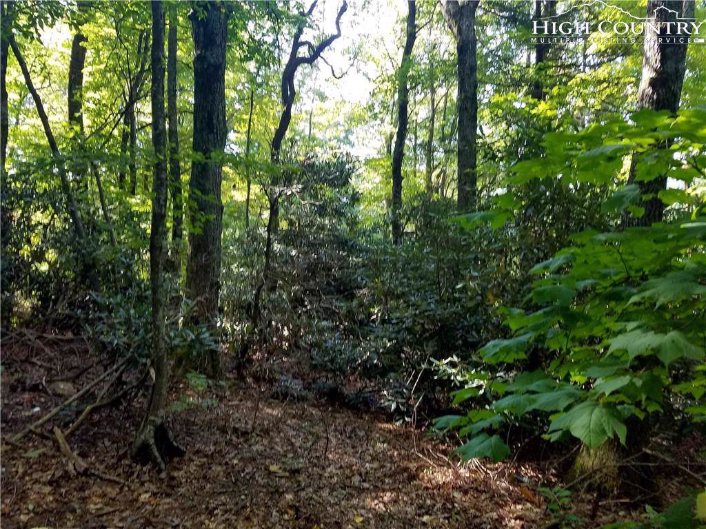 Tbd Thunderhead Trail - Photo 1
