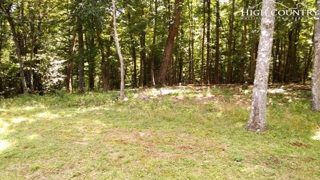 TBD Riverwatch Trail - Photo 1