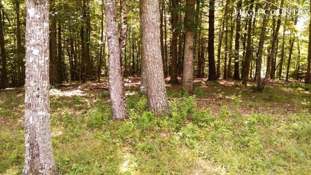 TBD Riverwatch Trail - Photo 1