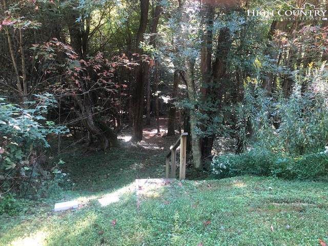 lot 56 Carefree Cove Roads - Photo 1