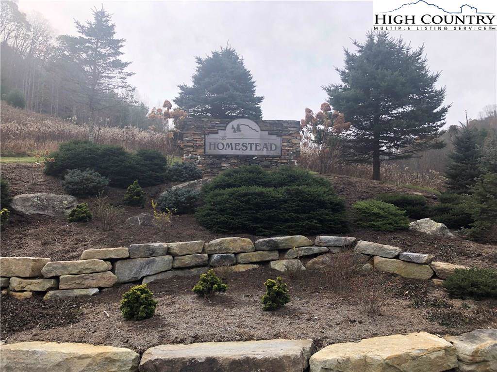 TBD New Homestead Drive - Photo 1