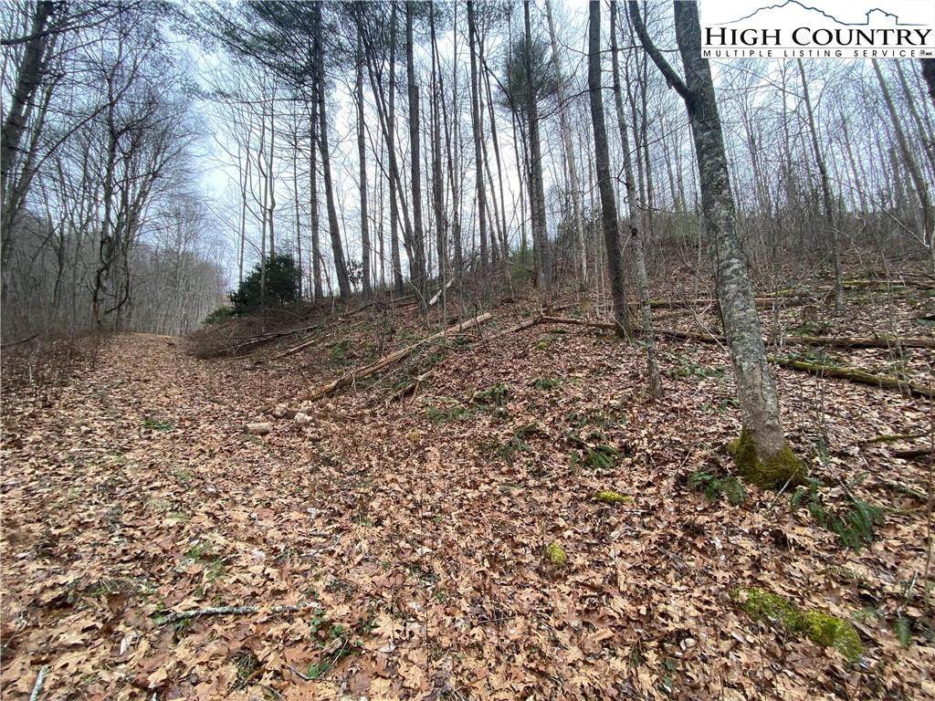 TBD Rabbit Ridge Run - Photo 1