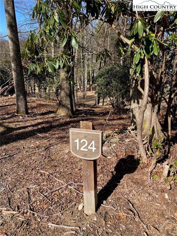 5226 Hwy 221 Highway - Photo 1