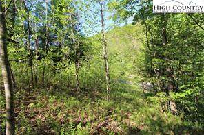 TBD Bear Paw Path - Photo 1