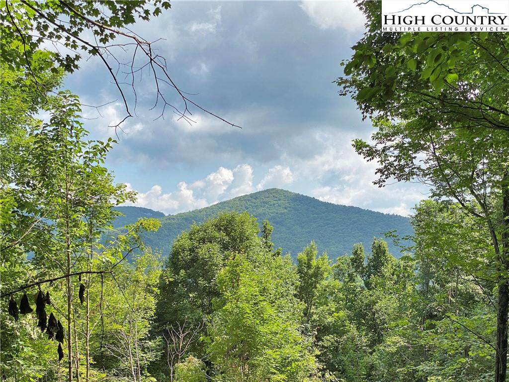 TBD Spring Mountain Trail - Photo 1