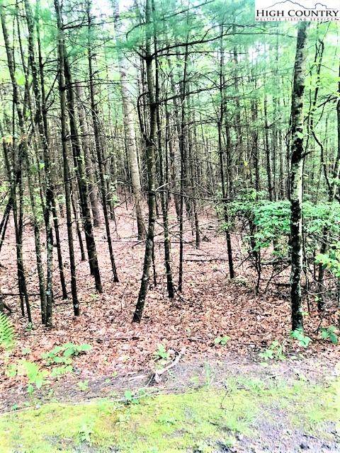 TBD Noah's Ridge Road - Photo 1
