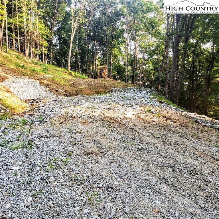 TBD Georges Gap Road - Photo 1