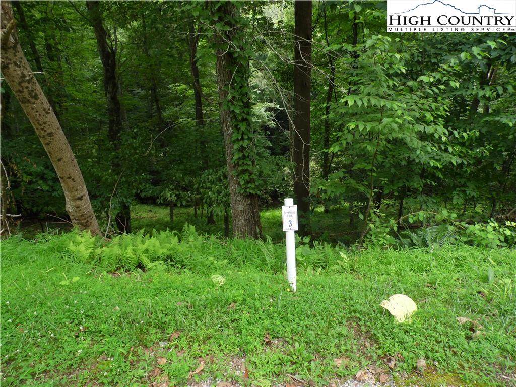 Lot 4 Woodlands Drive - Photo 1