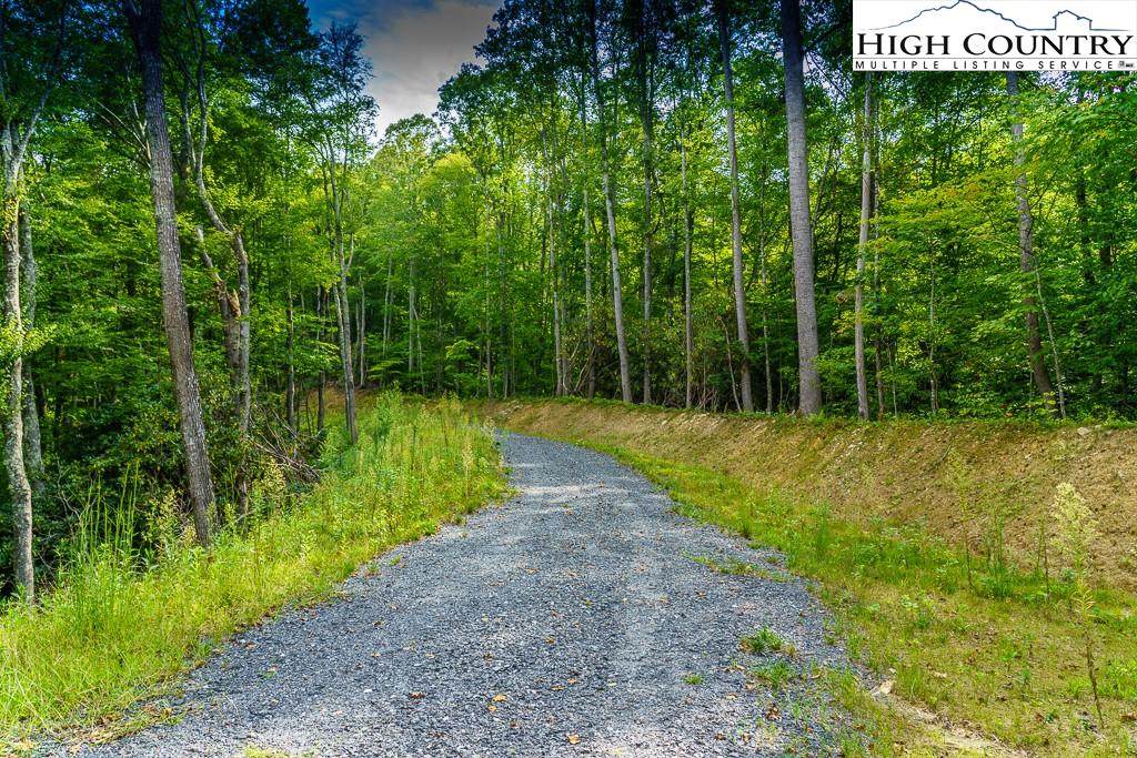 43 Acres Brushy Creek - Photo 1