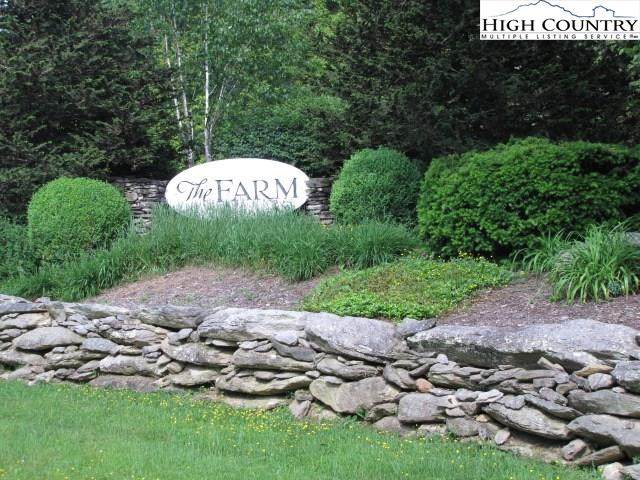 lot 17 Farm Loop - Photo 1