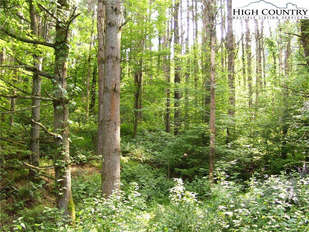 TBD Springtime Lane - Photo 1