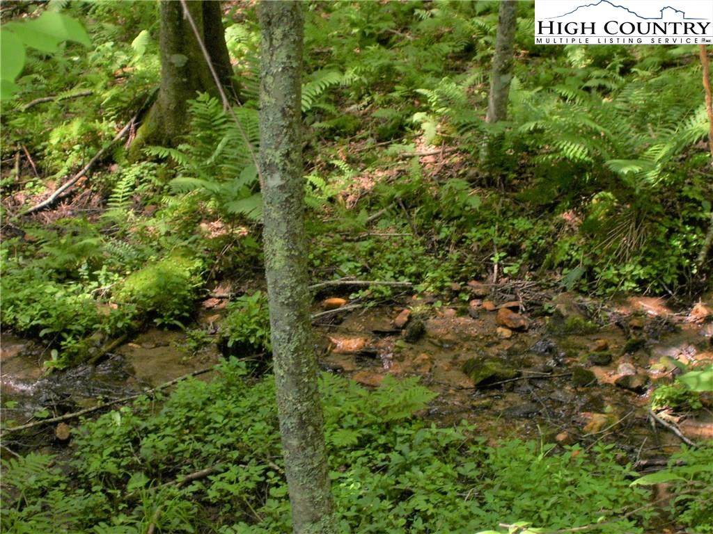 TBD Pine Knoll Dr - Photo 1