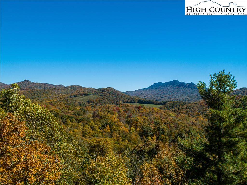 Lot 8 Linville Oaks Drive - Photo 1