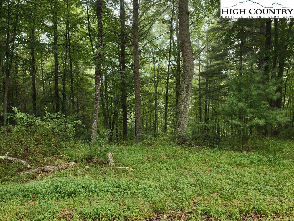 Lot 50 Prime Circle - Photo 1