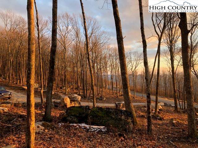 Lot 4 Crestline Court - Photo 1