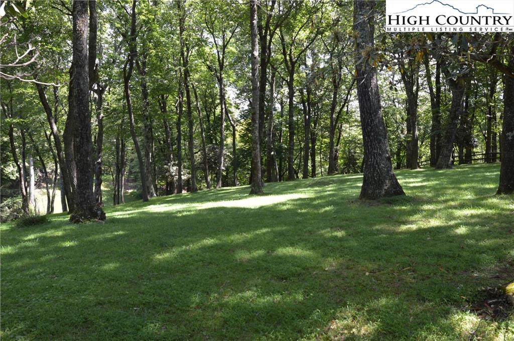 Lot 1 Hickory Hill Lane - Photo 1