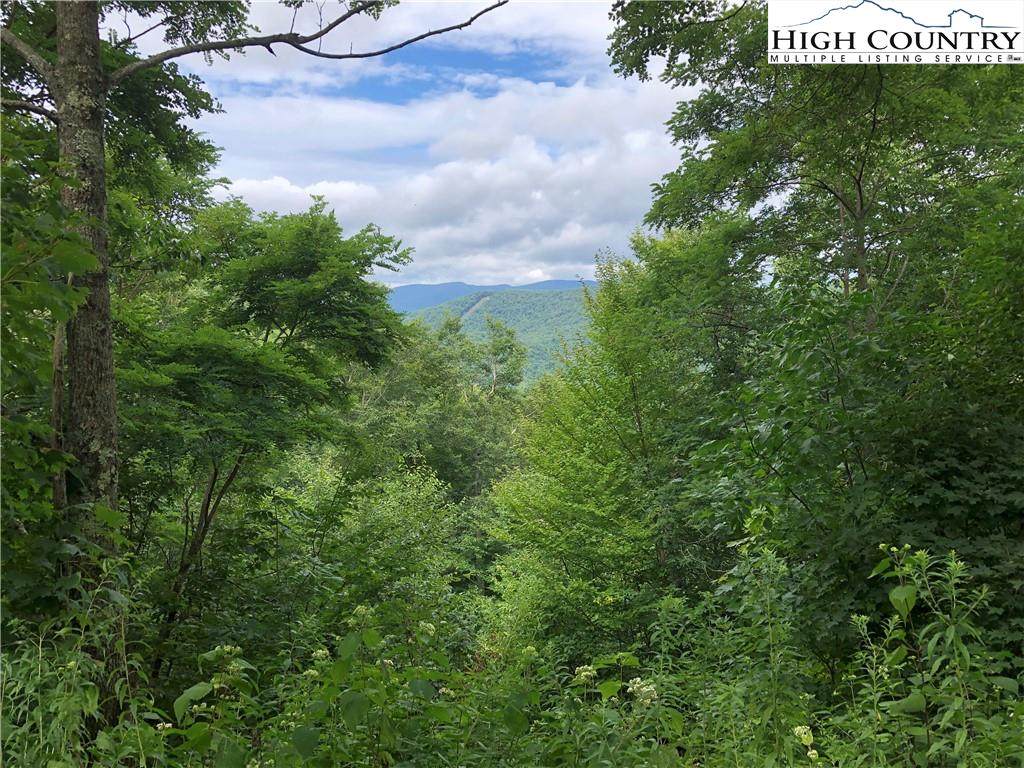 TBD Pinnacle Drive - Photo 1