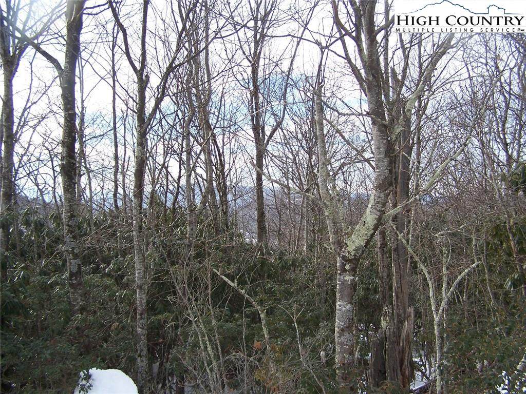 Lot 56 Algonquin Drive - Photo 1