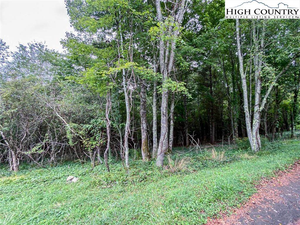 TBD Crestview Drive West - Photo 1