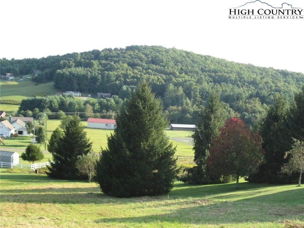 Lot 13 Big Flatts Moretz Road - Photo 1