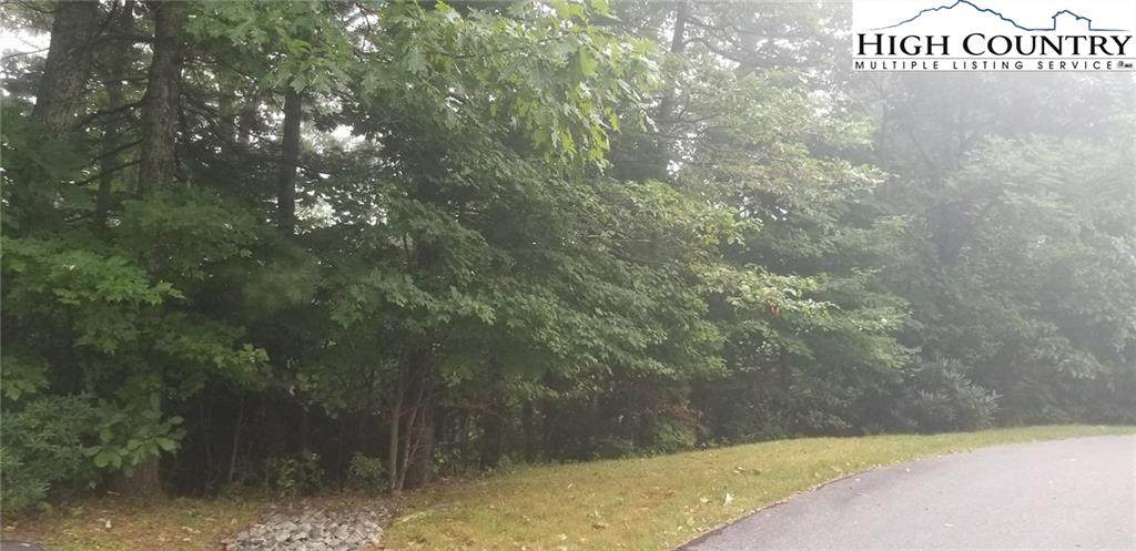 Lot 53 Boone Coffey Trail - Photo 1