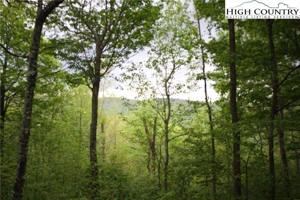 tbd Harris Drive - Photo 1