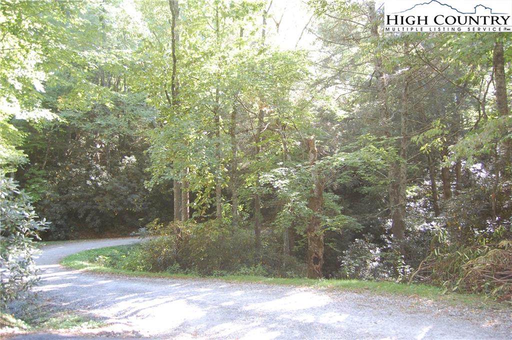 235 Laurel Brook Rd. Land - Photo 1