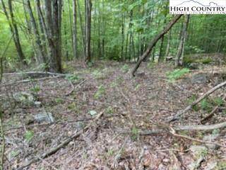 103 and 105 Beadwood Lane - Photo 1