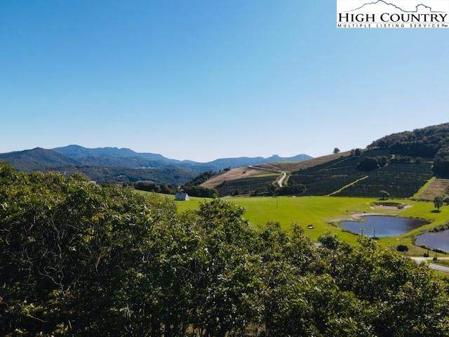 Lot 64 Valley Ridge Court Road - Photo 1