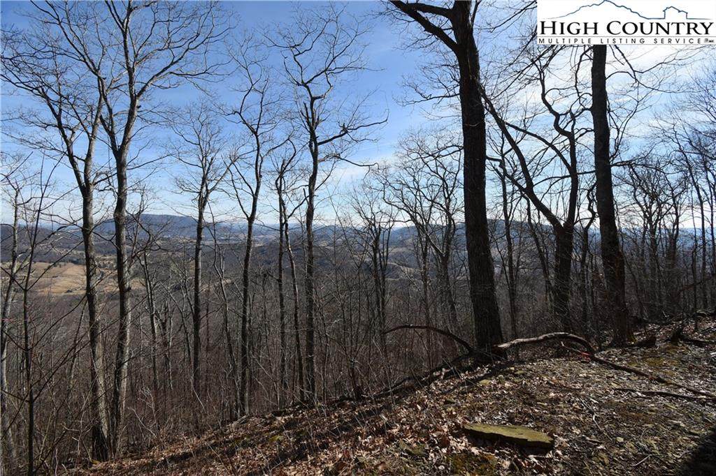 TBD Big Tree Road - Photo 1