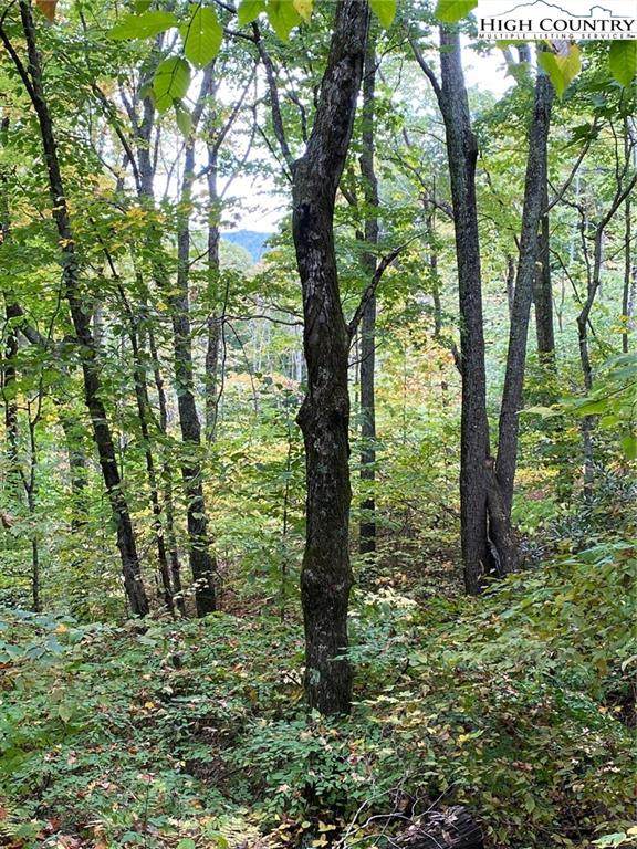 Lot # 28 Bluff Ridge Road - Photo 1