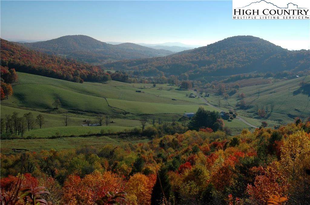 59 Twin Oaks Mounatin Boulevard - Photo 1