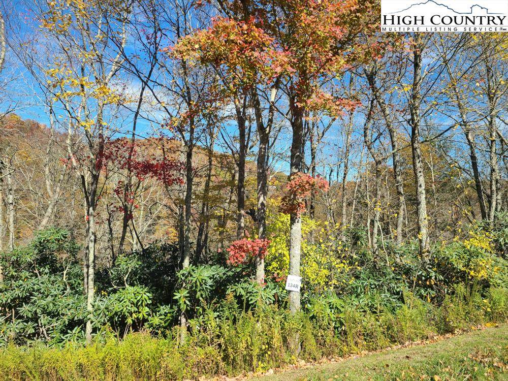 Lot 134R Firethorn Trail - Photo 1