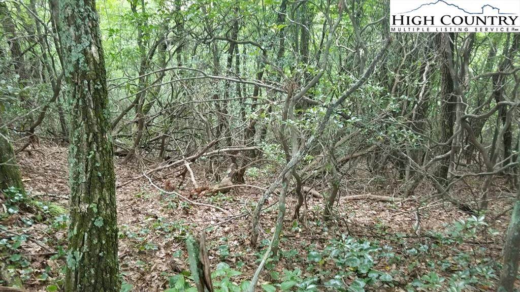 TBD Falcon Ridge Road - Photo 1