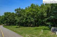 406 Firethorn Trail - Photo 1