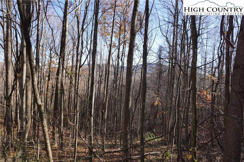 Lot 32 Walter Drive - Photo 1