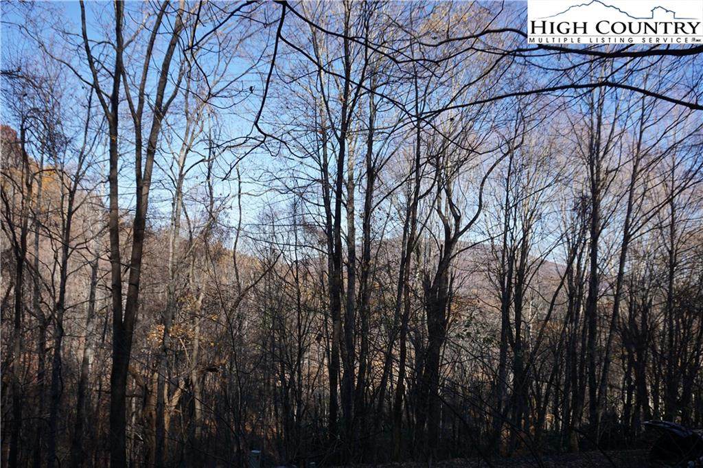 lot 74 White Tail Trail - Photo 1