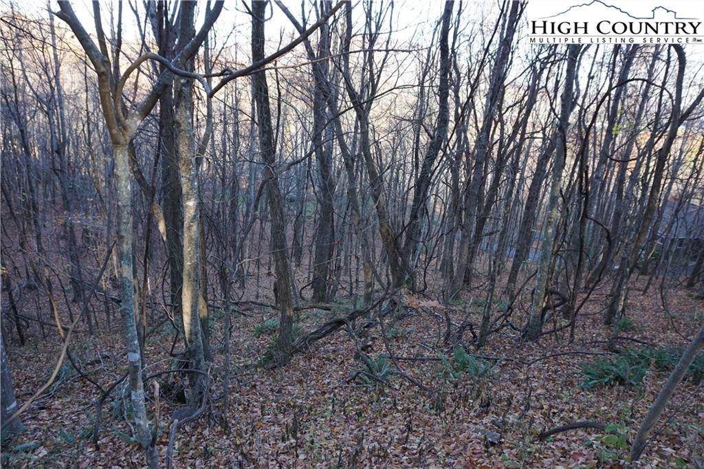 lot 65 White Tail Trail - Photo 1