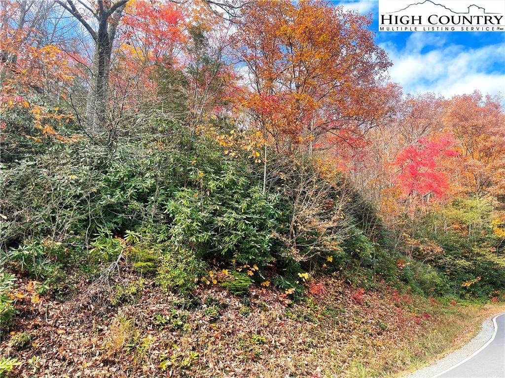 TBD Buckeye Creek Road - Photo 1