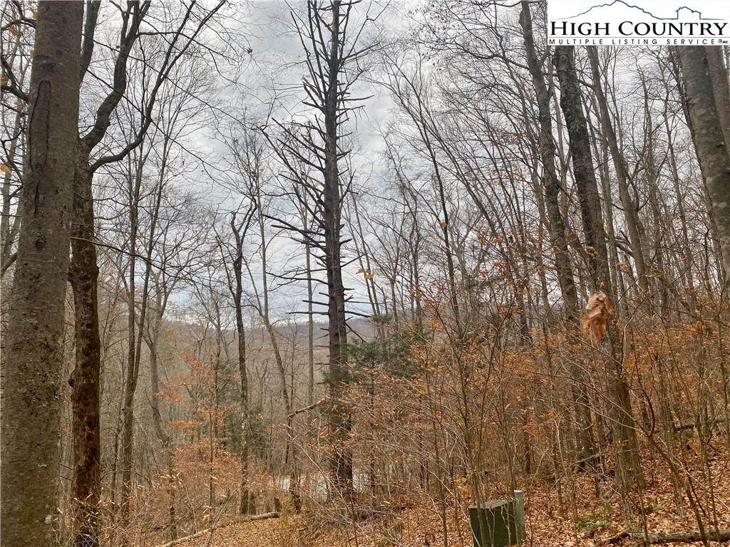 Lot 8 Upper Reach Drive - Photo 1