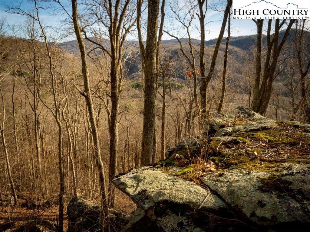 C4 Eagles Nest Trail - Photo 1
