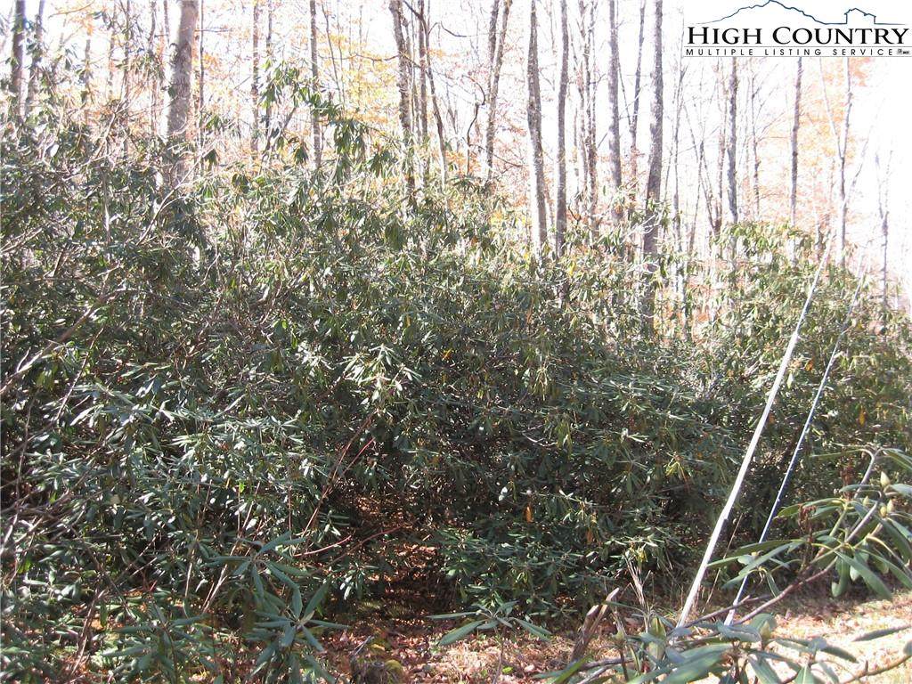 539 Pinnacle Ridge Road - Photo 1