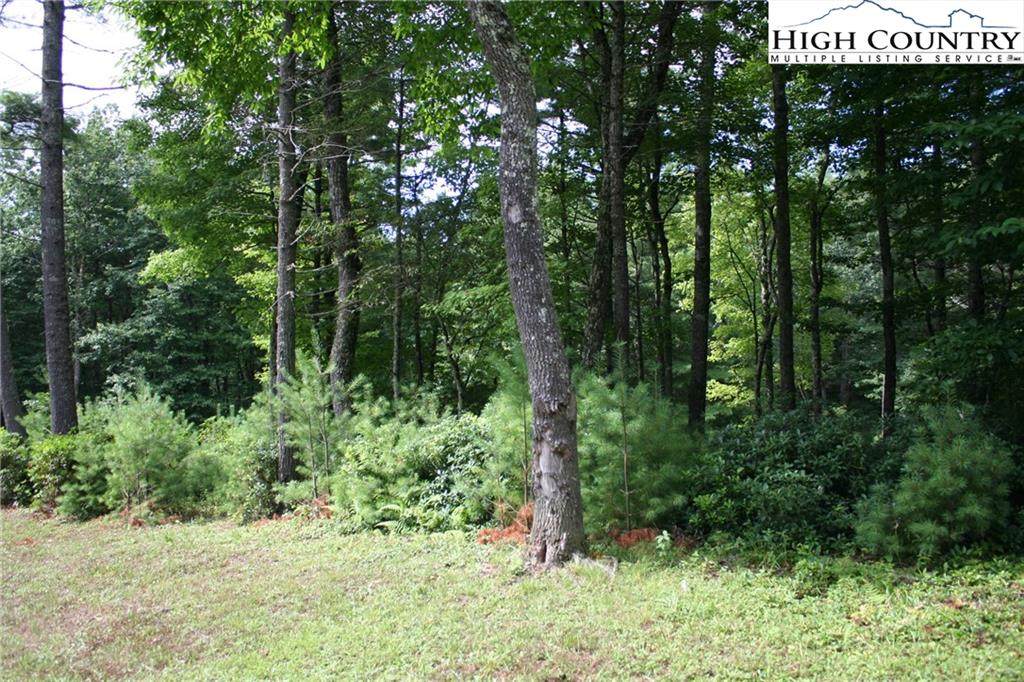 Lot 12 Walden Lane - Photo 1