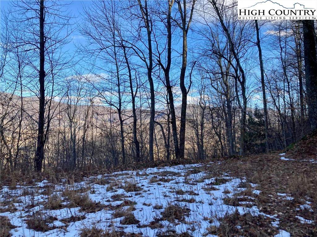 Lot 27 Wren Cove Lane - Photo 1